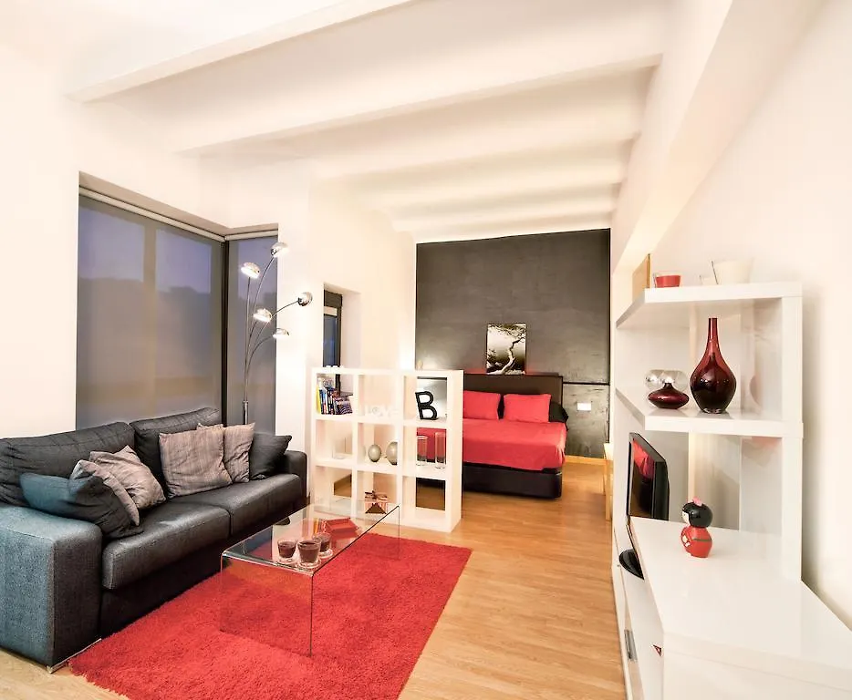 Loft And Flat Apartment Barcelona Spain